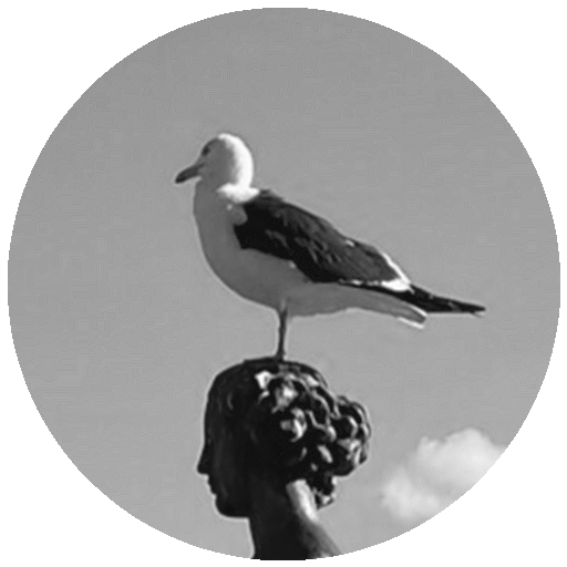 プロフィール写真