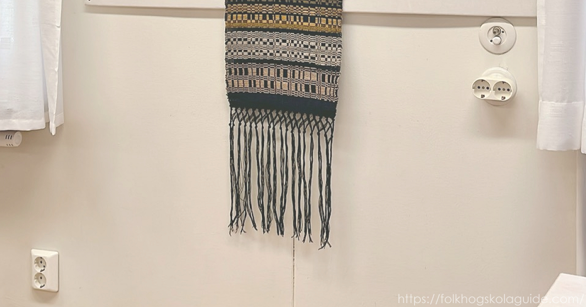 スウェーデンのC型、CE/F型電源ソケットの画像