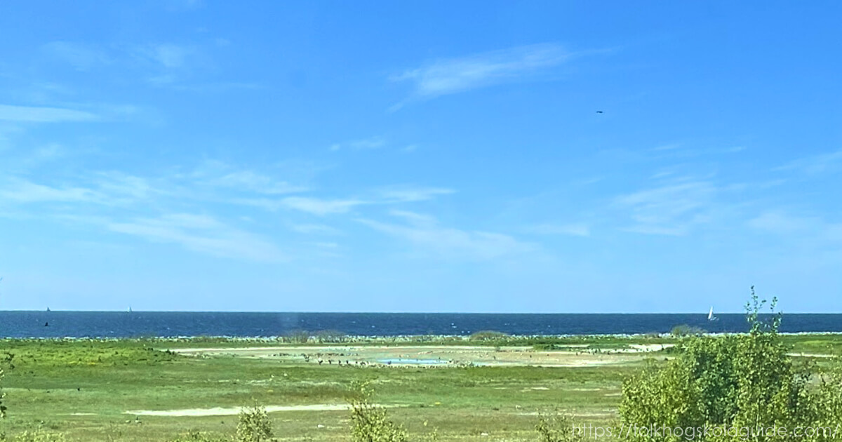 スウェーデンとデンマークの国境に臨む海。