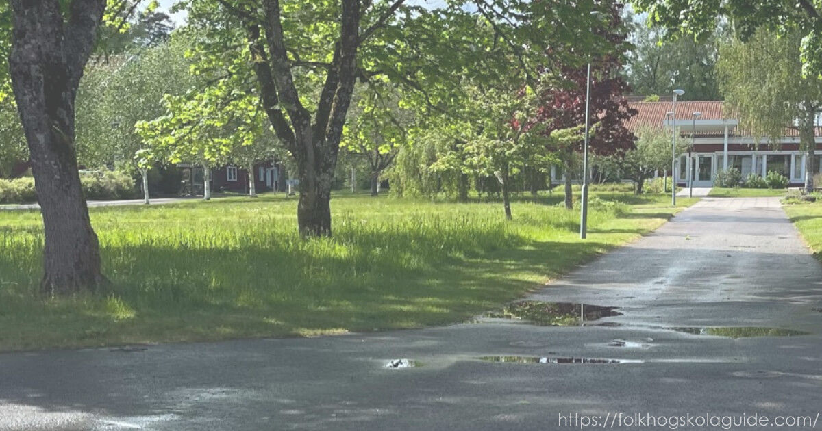 スウェーデン南西部の雨上がりの濡れたアスファルト