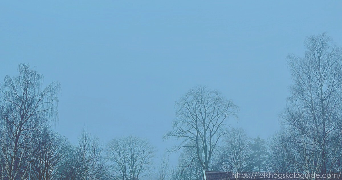 スウェーデンの10月の朝靄。